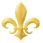 Expelys favicon